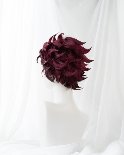 Uwowo Demon Slayer: Kimetsu no Yaiba Kamado Tanjiro Cosplay Wig Demon Slaying Corps Uniform Wig 25cm Short Wine Red Wig - Uwowo Cosplay